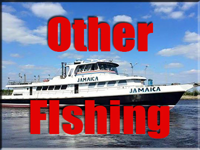 canyontuna.com/OtherFishingFinal.jpg